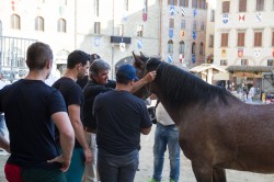 2019 06 20 prove bollatura 122