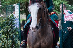 2019 06 22 san domenico 676