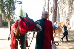 2021 09 05 giostra san domenico 008