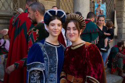 2023 06 16 bollatura cavalli 04