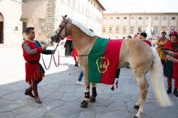 2023 06 16 bollatura cavalli 06