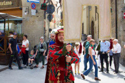 2023 06 16 bollatura cavalli 111