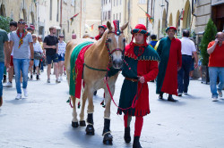 2023 06 16 bollatura cavalli 124