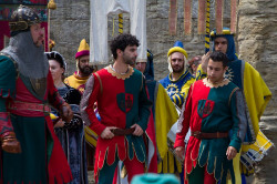 2023 06 16 bollatura cavalli 139