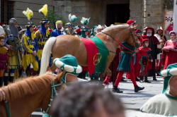 2023 06 16 bollatura cavalli 155