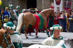 2023 06 16 bollatura cavalli 156