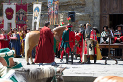 2023 06 16 bollatura cavalli 157
