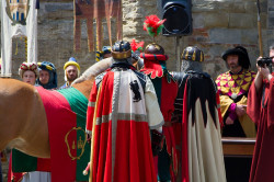 2023 06 16 bollatura cavalli 159