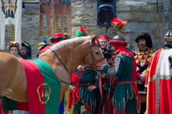 2023 06 16 bollatura cavalli 162