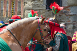 2023 06 16 bollatura cavalli 163