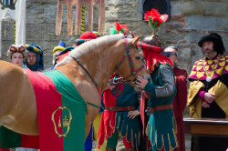 2023 06 16 bollatura cavalli 164
