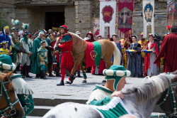 2023 06 16 bollatura cavalli 165