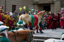 2023 06 16 bollatura cavalli 168