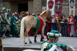2023 06 16 bollatura cavalli 169