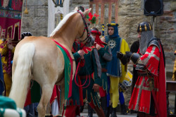 2023 06 16 bollatura cavalli 170