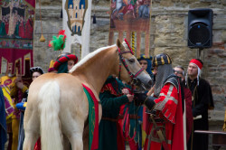 2023 06 16 bollatura cavalli 171