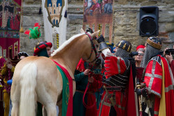 2023 06 16 bollatura cavalli 172