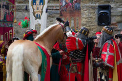 2023 06 16 bollatura cavalli 173