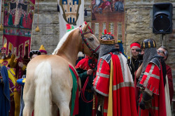 2023 06 16 bollatura cavalli 176