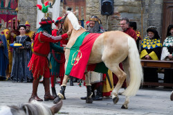 2023 06 16 bollatura cavalli 177