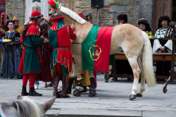 2023 06 16 bollatura cavalli 178