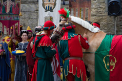 2023 06 16 bollatura cavalli 179