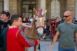 2023 06 16 bollatura cavalli 18