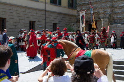 2023 06 16 bollatura cavalli 194