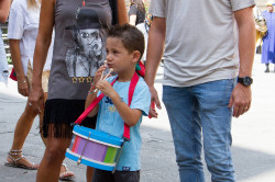 2023 08 27 estrazioni delle carriere 82