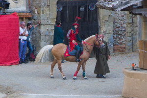 Giostra 0058