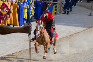 Giostra 0066