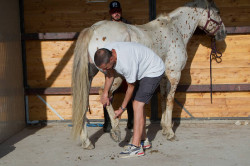 2023 08 25 simulazione giostra campo prove 23