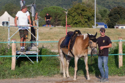 2023 08 25 simulazione giostra campo prove 32
