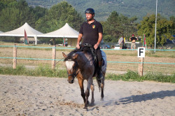2023 08 25 simulazione giostra campo prove 40