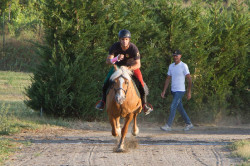 2023 08 25 simulazione giostra campo prove 53
