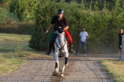 2023 08 25 simulazione giostra campo prove 65