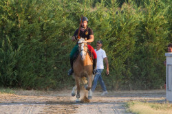2023 08 25 simulazione giostra campo prove 77