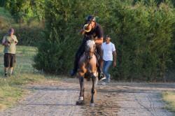 2023 08 25 simulazione giostra campo prove 87
