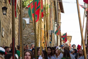 Tedeum preparazione e sfilata 0046