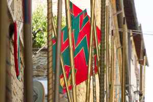 Tedeum preparazione e sfilata 0047