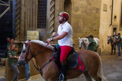Giostra simulata 4 settembre 2025   114