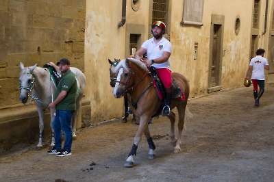 Giostra simulata 4 settembre 2025   124