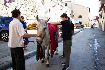 Bollatura 6 settembre 2025   002