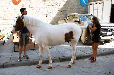 Bollatura 6 settembre 2025   004