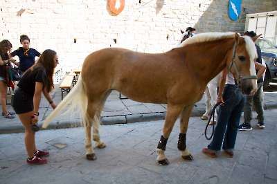 Bollatura 6 settembre 2025   006