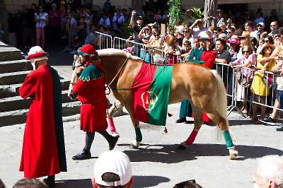 Bollatura 6 settembre 2025   245