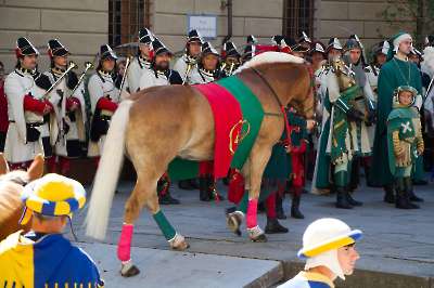 Bollatura 6 settembre 2025   249