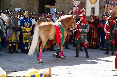 Bollatura 6 settembre 2025   250