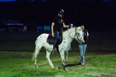 Campo Prove 3 Giugno - 089