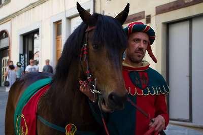 Bollatura 19-06-2026 - 142